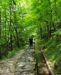 気持ちいい遊歩道　　付知峡