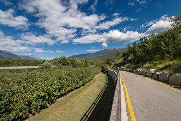 Bicycle lane and apple orchard in the Sarca Valley (Valle del Sarca). Trento Province, Trentino Alto Adige, Italy, Europe
