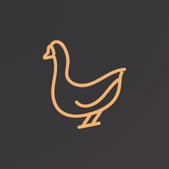 Fototapeta premium duck