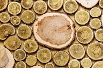 Screensavers, backgrounds, textures, woodworking concept - a wooden background made of cut tree...