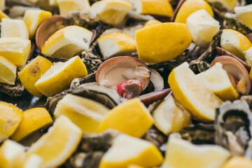 Close up fresh seafood salad with scallops, shellfishes and lemon. Summer healthy food.