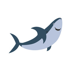 Cute flat shark. cartoon vector illustration isolated on white background