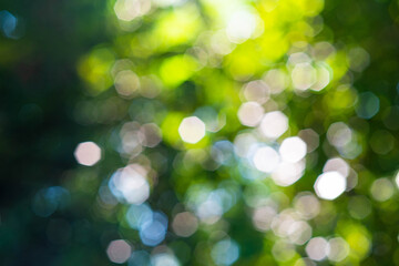 Green bokeh on nature defocus abstract blur background
