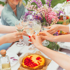 Group of young women enjoying tasty food, and drinks at summer celebration picnic. Wine glasses cheers. Girls frienship and fun. Hen-party. Selective focus