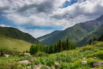 Idyllic summer landscape with hiking trail in the mountains with beautiful fresh green mountain...