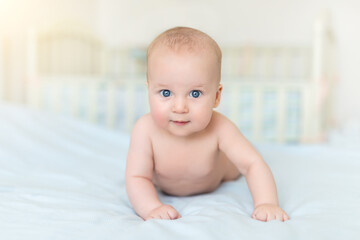 Cute adorable caucasian little 5 month old infant baby boy lying on tummy at nursery bed room having fun playing and smiling. Happy healthy newborn child concept. Funny toddler kid closeup portrait