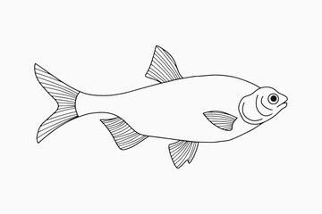 Outline underwater animal isolated on white. Sketch hand drawing art line. Fish for coloring page book. Outline sea life. Vector stock illustration. EPS 10
