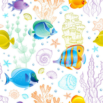 Sea Seamless Pattern. Vector ocean background with tropical fish, seashell, coral reef, starfish. Marine sketch underwater illustration. Summer beach drawing for watercolor color vintage print design