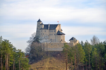 Fototapeta na wymiar castle in the mountains Mirów
