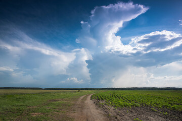 Fototapeta na wymiar Road in field and stormy clouds