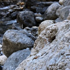 rocks on the beach