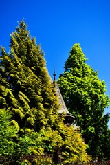 Villa Tower between tree - Liebieg Villa Liberec
