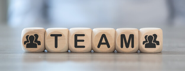 Concept of team