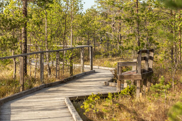 Fototapeta na wymiar wooden walkway passing in swamp in national park in Sweden