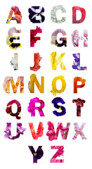 Flower font dmade of Real alive flowers cut shape of letter. 