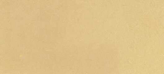 A fibrous paper with lots of detailed texture in beige