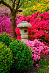 Fototapeta na wymiar Stone lantern in Japanese garden with blooming flowers, Park Clingendael, The Hague, Netherlands