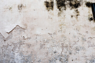 Vintage wall background made for your creative design