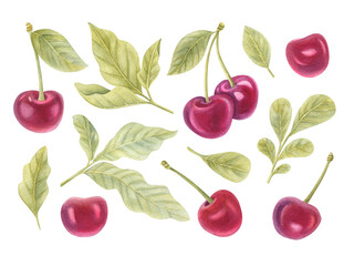 Watercolor set of cherries and leaves on the light background. Bright watercolor illustration of berries.