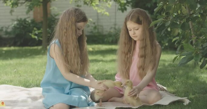 Cheerful twin sisters making little ducks to kiss. Portrait of Caucasian siblings playing with birds outdoors on summer day. Leisure, relaxation, childhood, fun, joy. Cinema 4k ProRes HQ.