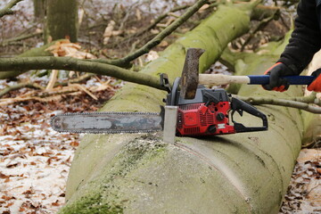 Holzfäller mit Kettensäge Hammer und Spaltkeil arbeitet am Baumstamm