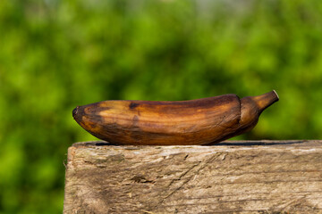 Spotted brown mini banana on a wooden board under the sun. This fruit is suitable for baking banana bread