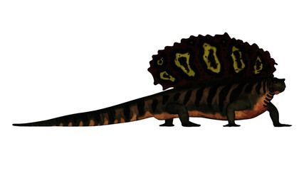 Edaphosaurus prehistoric animal walking isolated in white background