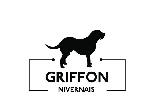 Griffon Nivernais - Dog