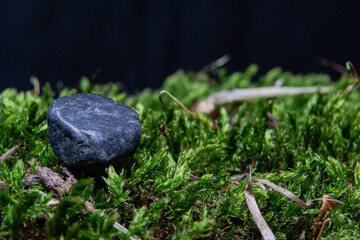 stone on the moss