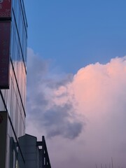 City night pink clouds