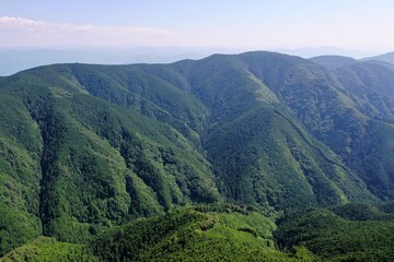 日本の緑の山