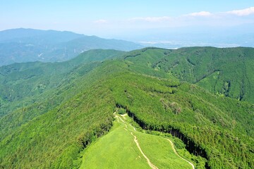 日本の緑の山