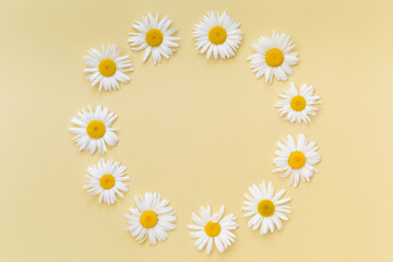 Obraz premium Floral composition. Wreath made of white chamomile flowers on pastel yellow background. Easter, spring, summer concept. Flat lay, top view, copy space