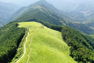 日本の緑の美しい山
