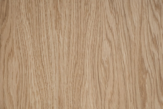Natural light oak wood texture on furniture surface as background image. Copy, empty space for text