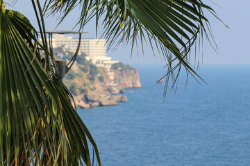 Antalya- Turcja.Skały. Morze śródziemne. Listki palmy.