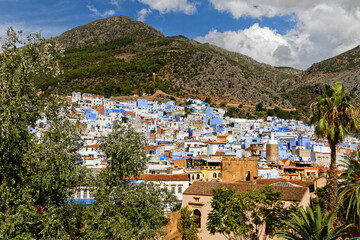 View of Chefchaouen, Morocco with mountain and palm tree. Blue city. Traveling through Morocco.