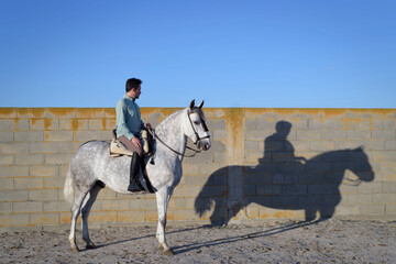 Rider riding a horse with a large shadow at his side. Track riding.