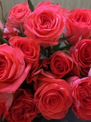 bunch of roses