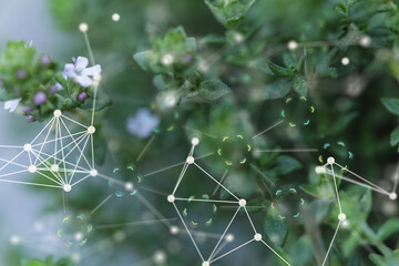 Modern agriculture with technology concept.