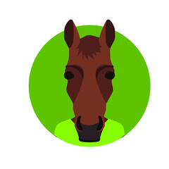 Horse silhouette vector on a white background