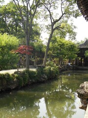Fototapeta premium pond in chinese garden