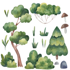 set of trees, spruce, pine green, grass, stones watercolor illustration on a white background