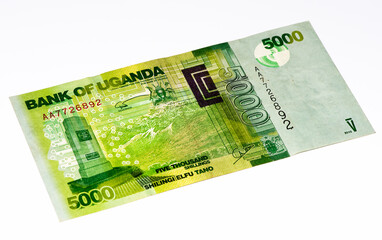 Currancy banknote of Africa