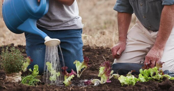 Close-up cropped view of a father and cute son planting seedlings and watering them with a watering can