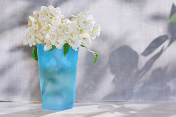 White jasmine flowers in a blue glass. On a white background, shadow from the leaves.