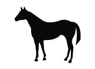Horse side view, vector