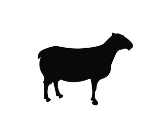 Sheep silhouette vector on a white background