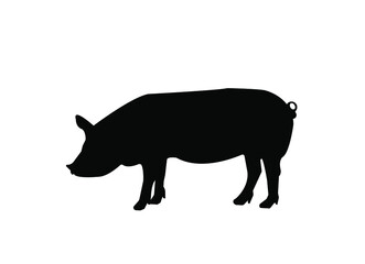 Pig silhouette vector on a white background