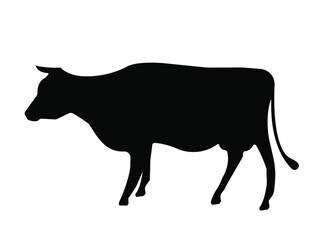 Cow silhouette vector on a white background